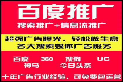百度推广中的创意策略：成功案例解析与启示